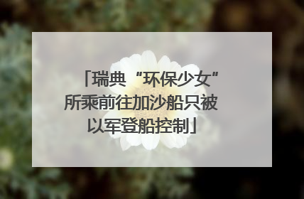 瑞典“环保少女”所乘前往加沙船只被以军登船控制