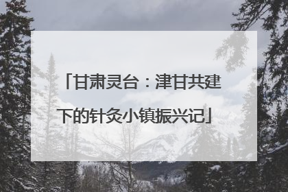 甘肃灵台：津甘共建下的针灸小镇振兴记