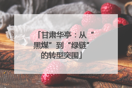 甘肃华亭：从“黑煤”到“绿链”的转型突围