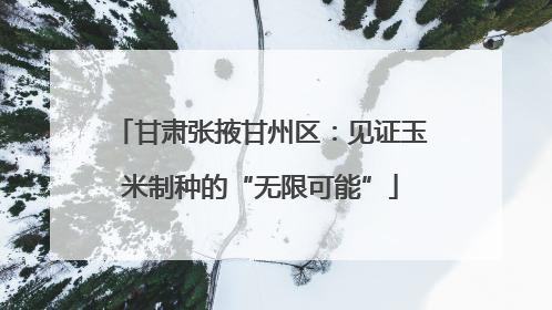 甘肃张掖甘州区：见证玉米制种的“无限可能”