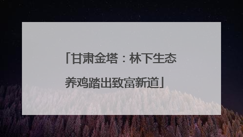 甘肃金塔：林下生态养鸡踏出致富新道
