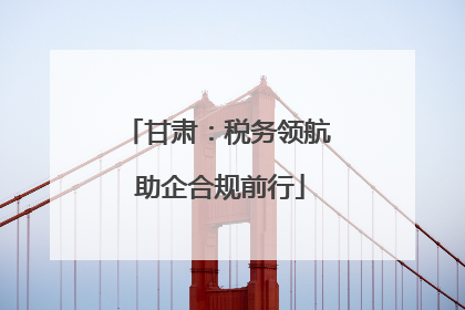 甘肃：税务领航 助企合规前行