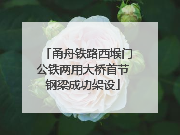 甬舟铁路西堠门公铁两用大桥首节钢梁成功架设
