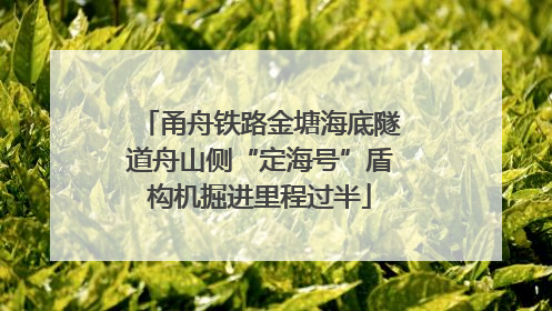 甬舟铁路金塘海底隧道舟山侧“定海号”盾构机掘进里程过半