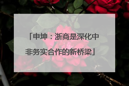 申坤：浙商是深化中非务实合作的新桥梁