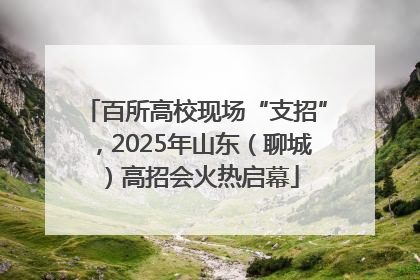 百所高校现场“支招”，2025年山东（聊城）高招会火热启幕