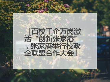 百校千企万岗激活“创新张家港”，张家港举行校政企联盟合作大会