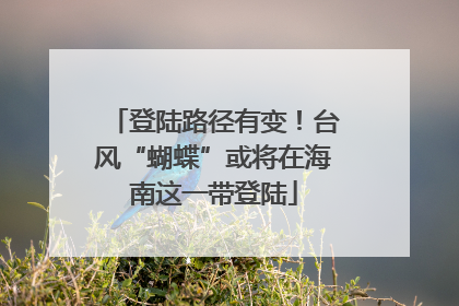 登陆路径有变！台风“蝴蝶”或将在海南这一带登陆