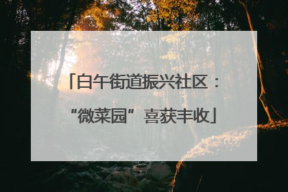 白午街道振兴社区：“微菜园”喜获丰收