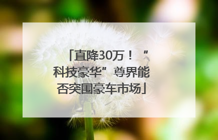 直降30万！“科技豪华”尊界能否突围豪车市场
