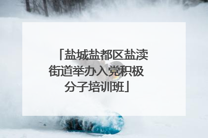 盐城盐都区盐渎街道举办入党积极分子培训班