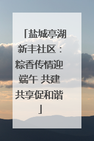 盐城亭湖新丰社区：粽香传情迎端午 共建共享促和谐