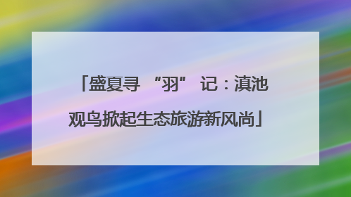 盛夏寻 “羽” 记：滇池观鸟掀起生态旅游新风尚