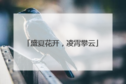 盛夏花开，凌霄攀云
