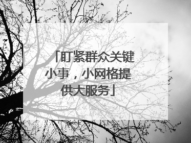 盯紧群众关键小事，小网格提供大服务
