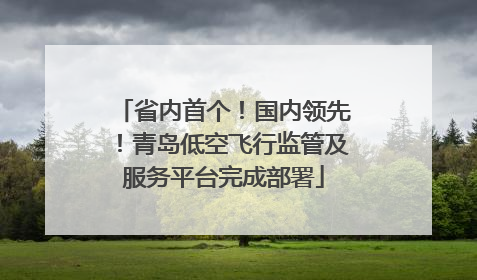 省内首个！国内领先！青岛低空飞行监管及服务平台完成部署