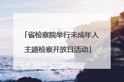 省检察院举行未成年人主题检察开放日活动