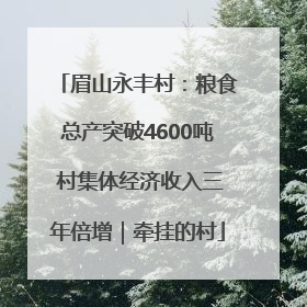 眉山永丰村：粮食总产突破4600吨 村集体经济收入三年倍增｜牵挂的村