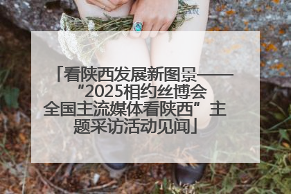 看陕西发展新图景——“2025相约丝博会 全国主流媒体看陕西”主题采访活动见闻