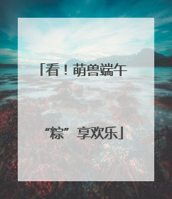 看！萌兽端午“粽”享欢乐