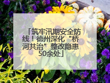 筑牢汛期安全防线！德州深化“桥河共治”整改隐患50余处