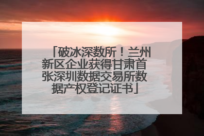 破冰深数所！兰州新区企业获得甘肃首张深圳数据交易所数据产权登记证书