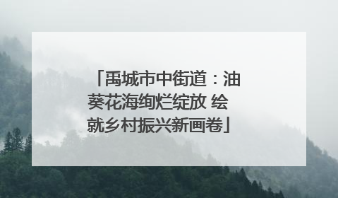 禹城市中街道：油葵花海绚烂绽放 绘就乡村振兴新画卷