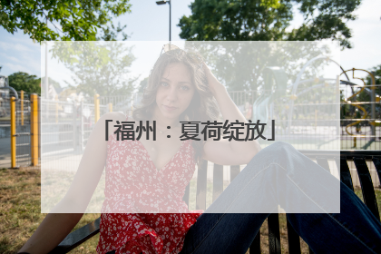 福州：夏荷绽放