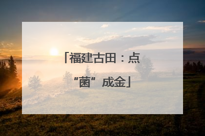 福建古田：点“菌”成金