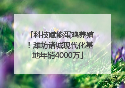 科技赋能蛋鸡养殖！潍坊诸城现代化基地年销4000万