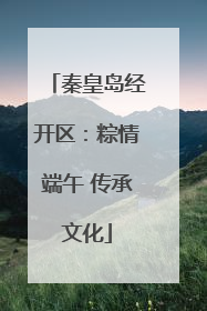 秦皇岛经开区：粽情端午 传承文化