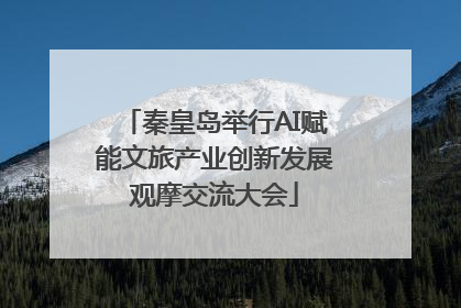 秦皇岛举行AI赋能文旅产业创新发展观摩交流大会