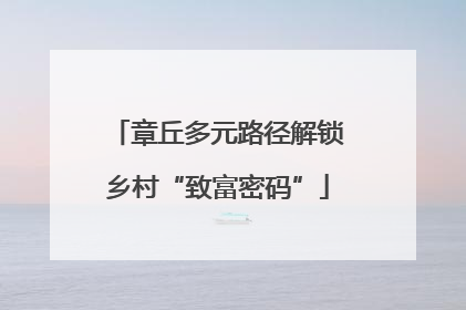 章丘多元路径解锁乡村“致富密码”