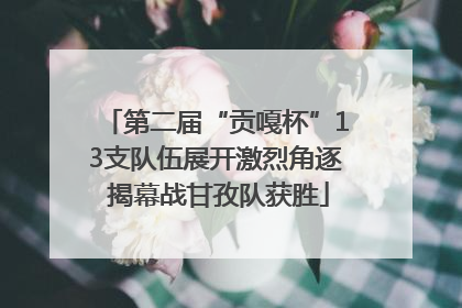 第二届“贡嘎杯”13支队伍展开激烈角逐 揭幕战甘孜队获胜