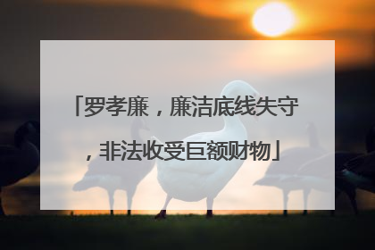 罗孝廉，廉洁底线失守，非法收受巨额财物