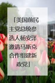 美国前民主党总统参选人杨安泽邀请马斯克合作组建新政党