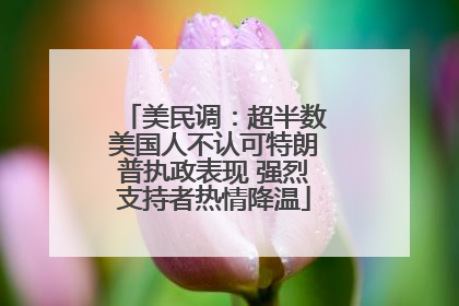 美民调：超半数美国人不认可特朗普执政表现 强烈支持者热情降温