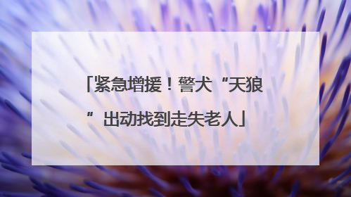 紧急增援！警犬“天狼”出动找到走失老人