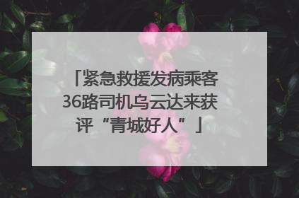 紧急救援发病乘客 36路司机乌云达来获评“青城好人”