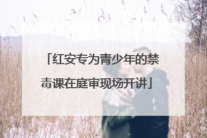 红安专为青少年的禁毒课在庭审现场开讲