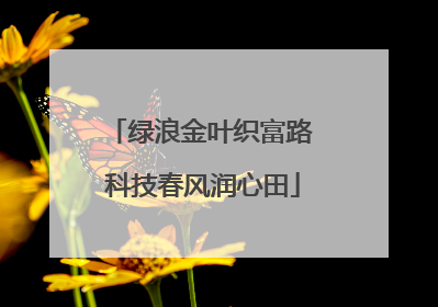绿浪金叶织富路 科技春风润心田