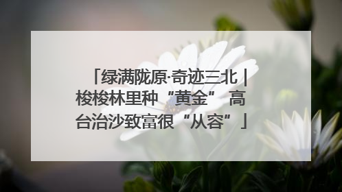 绿满陇原·奇迹三北｜梭梭林里种“黄金” 高台治沙致富很“从容”