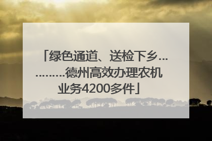 绿色通道、送检下乡…………德州高效办理农机业务4200多件