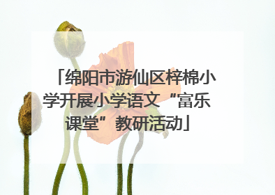 绵阳市游仙区梓棉小学开展小学语文“富乐课堂”教研活动