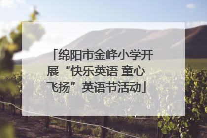 绵阳市金峰小学开展“快乐英语 童心飞扬”英语节活动