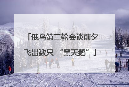 俄乌第二轮会谈前夕 飞出数只 “黑天鹅”