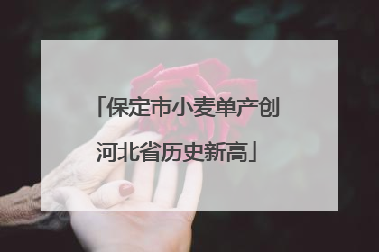 保定市小麦单产创河北省历史新高