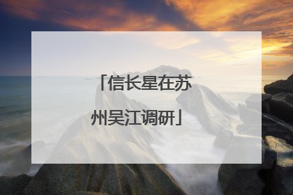信长星在苏州吴江调研