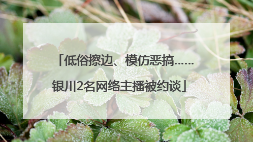 低俗擦边、模仿恶搞……银川2名网络主播被约谈