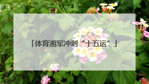 体育湘军冲刺“十五运”